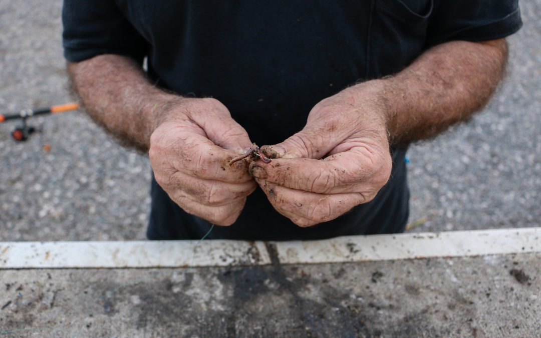 Wood splinter infection symptoms in Naperville